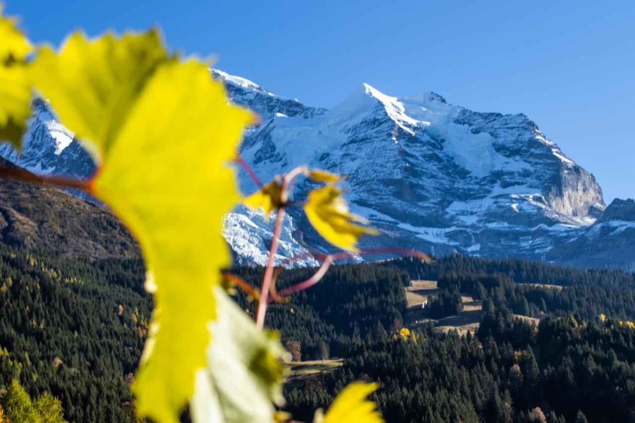 Chalet Aargovia South Wengen Exteriér fotografie