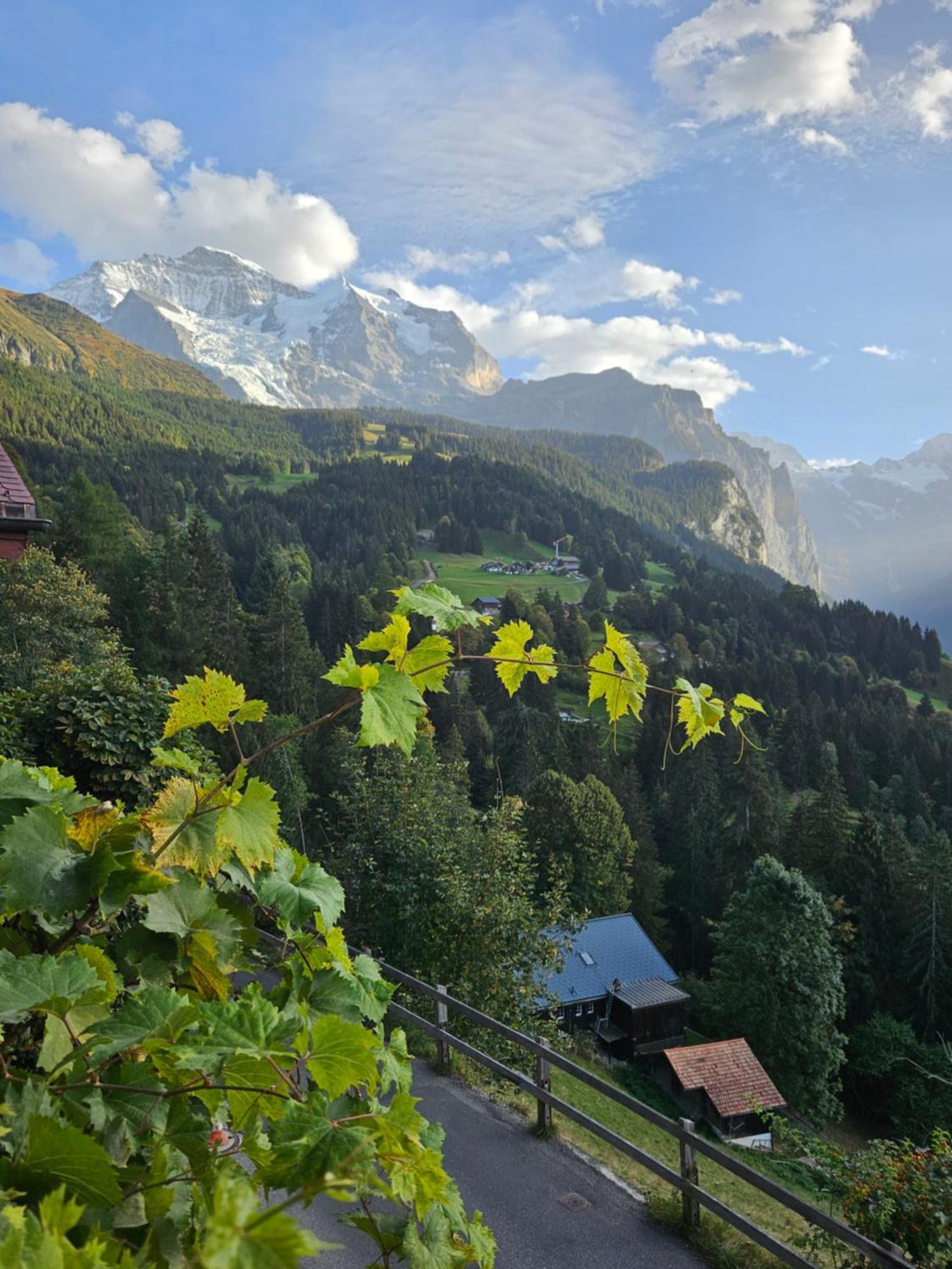 Chalet Aargovia South Wengen Exteriér fotografie